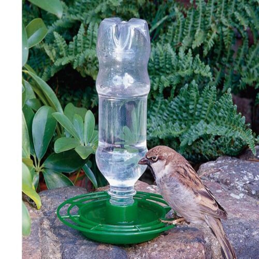 Bird Feeding & Watering
